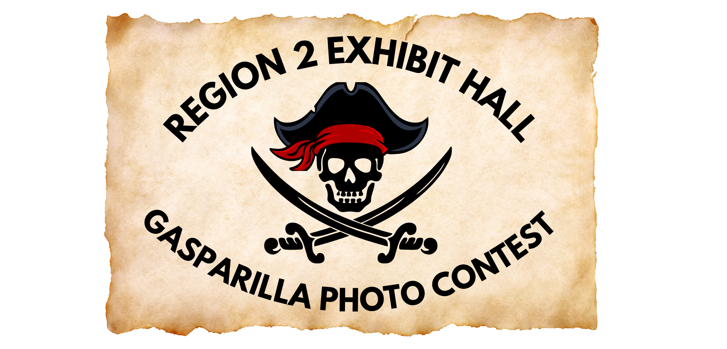 Gasparilla photo contest